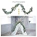 Outgeek Artificial Eucalyptus 2PCS 6.5ft Artificial Silver Dollar Eucalyptus Leaves Garland Artificial Willow Leaves Hanging Greenery Garland Artificial Vine Wedding Decorations Indoor Outdoor (2PCS)
