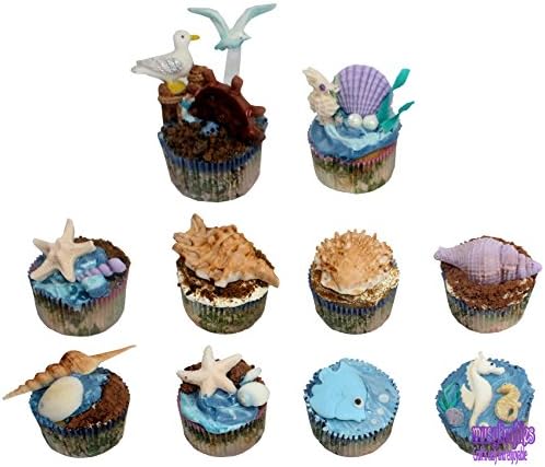 Plage Et Etoile De Mer Et Coquillages Marins Moule Moule A Fondant Moule A Cupcake Moule Biscuit Bricolage Pour Decorer Un Gateau Moules A Patisserie Bac A Glacons De Royal Houseware Patisserie