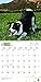 Border Collies 2018 Calendar