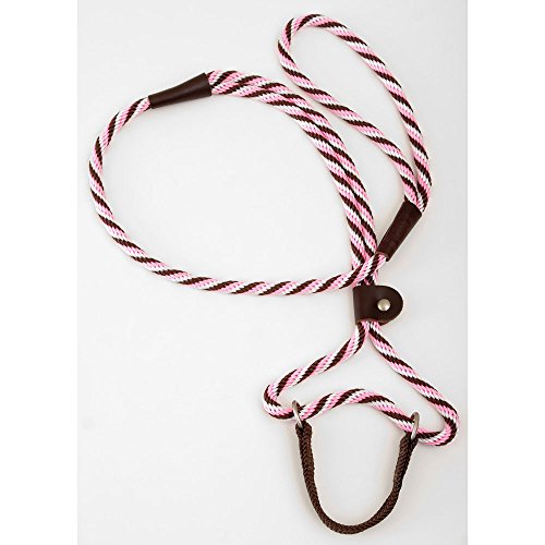 Twist Big Dog Leash Size: 72", Color: Pink Chocolate