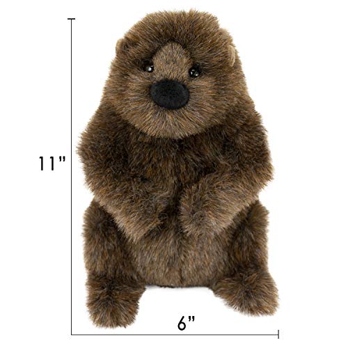 Douglas Chuckwood Groundhog Plush Stuffed Animal Pricepulse