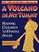 A Volcano in My Tummy: Helping Children to Handle Anger