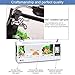chizhuhong7 USB Desktop Aquarium Fish Tank, Betta Fish Tank, Mini Fish Small Fry Tank Aquarium with LED Clock for Office Home Decor Black TG03thumb 2