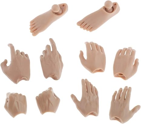 Amazon Perfeclan 1 6スケール 男性 手 足 拳 ハンド モデル 12インチフィギュア用手 モデル 5ペア入り フィギュア ドール 通販