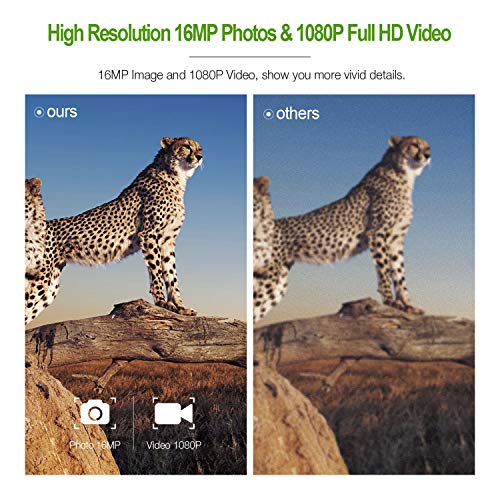 FLAGPOWER Trail Game Camera with Night Vision Motion Activated 16MP 1080P Hunting Camera with IP66 Waterproof 0.2s Trigger Time 32GB Memory Card 2.4" LCD Display for Wildlife Monitor