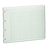 Accounting Sheets, 20 Column, 9-1/4 X 11-7/8, 100 Loose Sheets/Pack