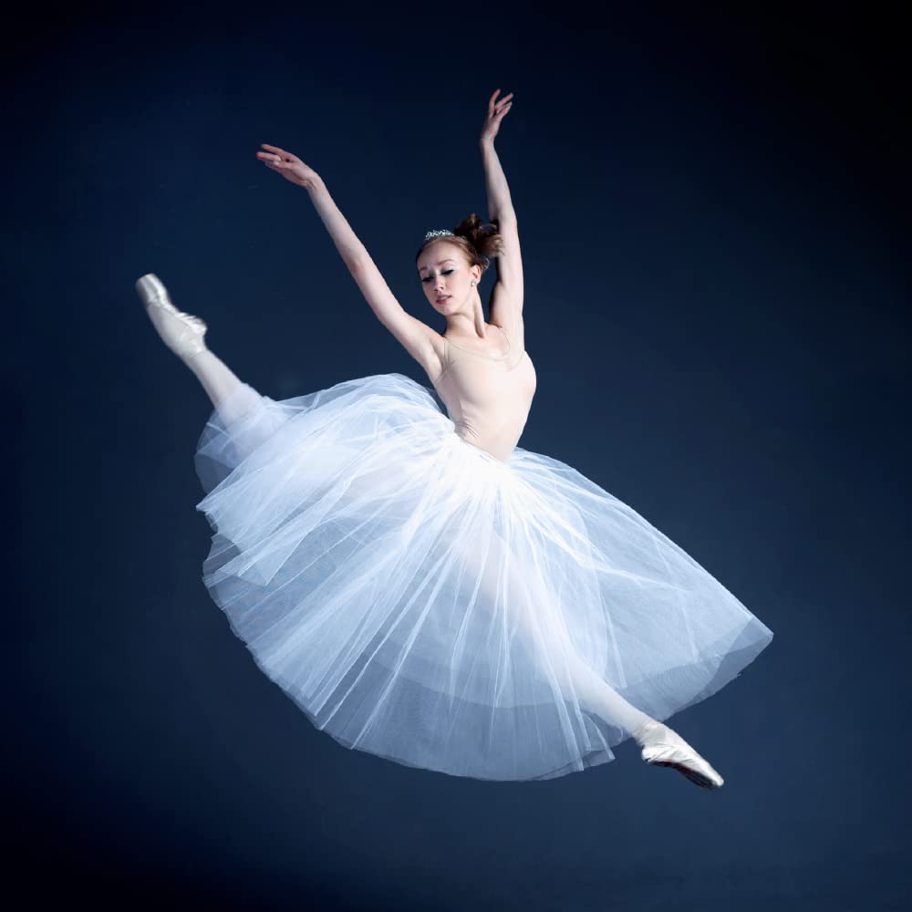 Really Wild Cards Classical Ballet Gisele Sound Greeting Card Any Occasion RWUK2003