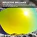 Revant Polarized Replacement Lenses for Oakley Flak Jacket Bolt Gold MirrorShield