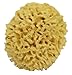 Swissco Sea Wool Natural Bath Sponge, 6 Inches