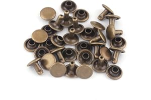 YEWIN Bronze Tubular Double Cap Rivets - 9mm Rainbow Metal Button Round Rapid Rivet,Rivet Studs for Purse Bags Handbags Shoes Belts Leather Craft Repair (100 PCS)