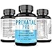 Prenatal Pro Multivitamin - Essential Nutrition for Mom and Baby, Daily Vitamin and Mineral Supplement, Folic Acid, Red Raspberry Fruit Iron, Vegetarian - 60 Capsules