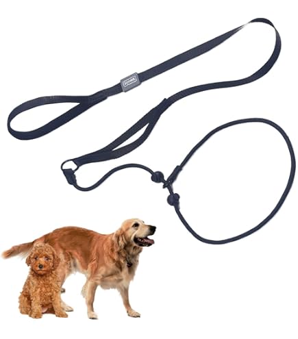 No Pull Dog Puppy Pet Harness With A Free Heavy Duty 4.5ft Leash & 2