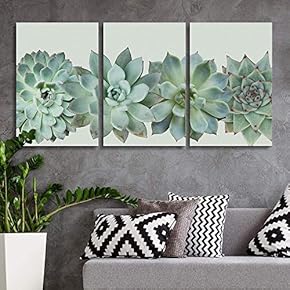 Different Tropical Succulents - 3 Panel Canvas Art