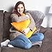 Plain Throw Pillow Cushion Inserts: White Square Throw Pillows for Couch, Sofa, Bed - 20 Inch x 20 Inch Pillow Insert, Set of 2 - Euro Accent Pillow Stuffers for Sham Covers - Large Filler Cushions