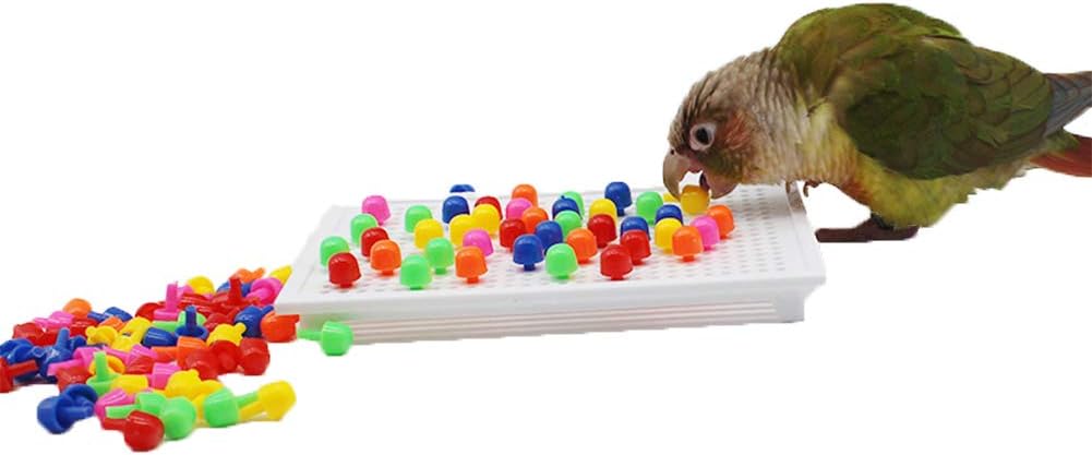 parrot puzzle toys