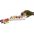 QBLEEV Parrot Puzzle Toys for Parakeets, Cockatiel & Conure - Bird Intelligence Training & Foraging Toys