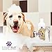Lillian Ruff Professional Dog Shampoo – Concentrated Dog Shampoo with Aloe – Tear Free Lavender Coconut Scent – Soothe & Cleanse Normal to Dry Itchy Sensitive Skin While Improving Shine – Made in USA