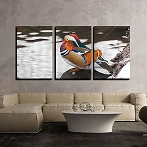 3 Piece Canvas Wall Art - Mandarin Duck to Stand on Snow - Modern Home Art Stretched and Framed Ready to Hang - 16"x24"x3 Panels
