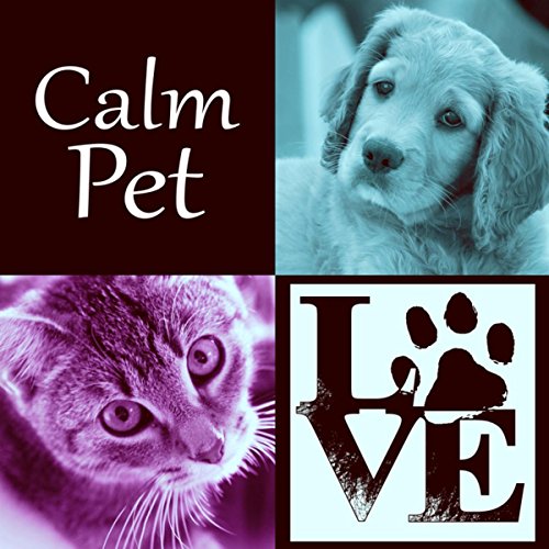 Calming Music for Pets Gentle Songs to Relax and Calm Down