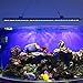 Roleadro Led Aquarium Light Fish Tank Light Blue and White Leds for Aquarium 33inch