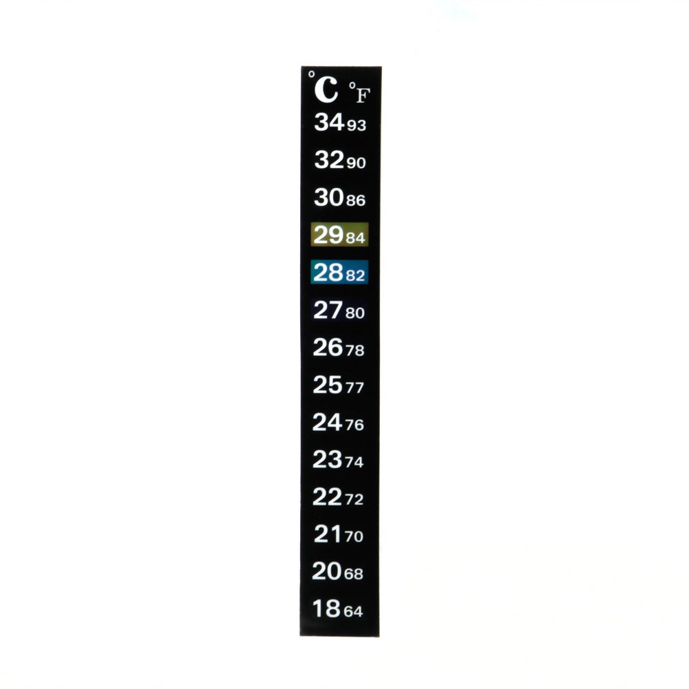 Fast-Read Thermometer
