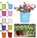 Drhob 2PCS Metal Iron Hanging Flower Pot Vase Planter Indoor Fence Wall Hanging Balcony Garden Patio Hanging Planter （Color multicolor random）