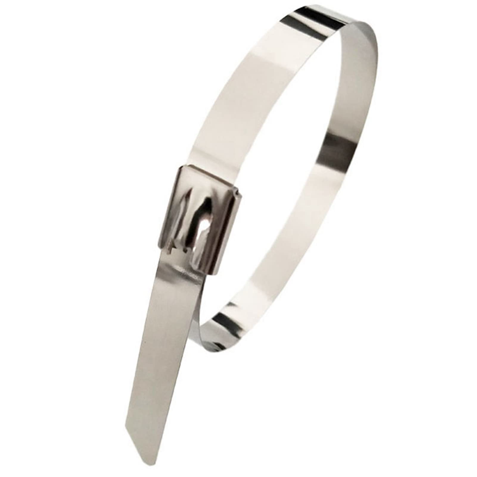 Tissting Stainless Steel Cable Ties, 100Pcs Heavy Duty Self-Locking Metal Zip Ties with Smooth Surface for Wire Management in Home Office Garage Workshop