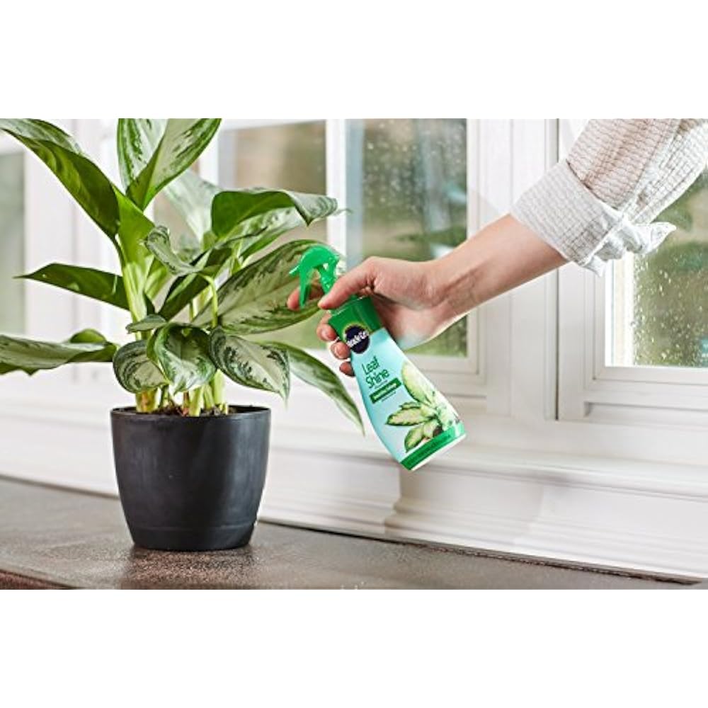 MiracleGro Leaf Shine, 8Ounce Fertilizers Garden & Outdoor eBay