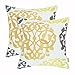 CaliTime Throw Pillow Cases Pack of 2 Cotton Vintage Compass Geometric Floral Embroidered Decorative Cushion Covers for Couch Bed Sofa Farmhouse Decoration 18 X 18 Inches Gold Yellow Gray