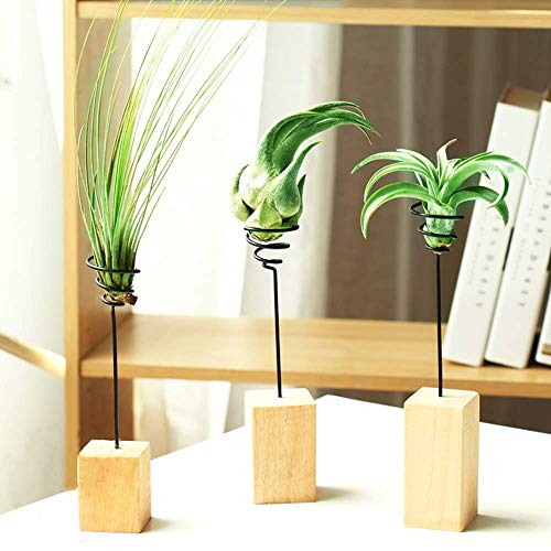 Yugust Air Plant Stand Holder,3Pcs Wooden Base Flower Stand with Copper Wire,Iron Wire Landscape Holder Airplant Container Tabletop Tillandsia Planter Desk Display Rack