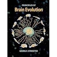 Principles of Brain Evolution