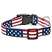 American Flag Dog Collar in 5 Different Sizes Classic (Medium)