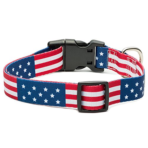 American Flag Dog Collar in 5 different sizes (Medium)