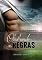 Livro Quebrando as Regras (Olé Livro 2)