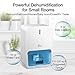 Jese Small Dehumidifier for Bathroom, 18oz Electric Quiet Mini Room Dehumidifier for 150-220 sq.ft Auto-Off Safe Dehumidifier for Kitchen, Bedroom, RV Trailer, Closet, Basement