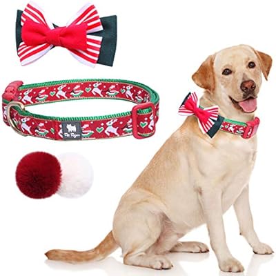 cute dog accessories for large dogs