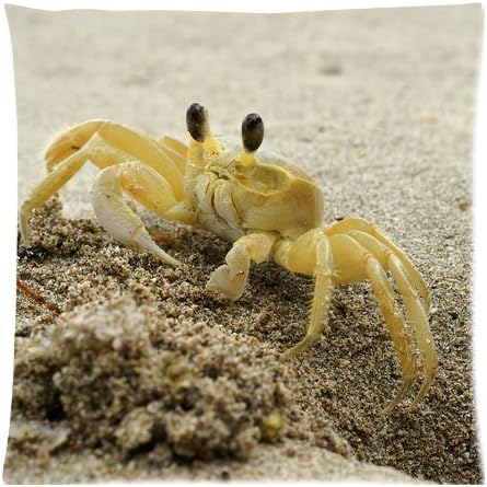Chost Carb Art Custom Zippered Pillow Cases Soft And Confortable 18"x 18" (Twin Sides)