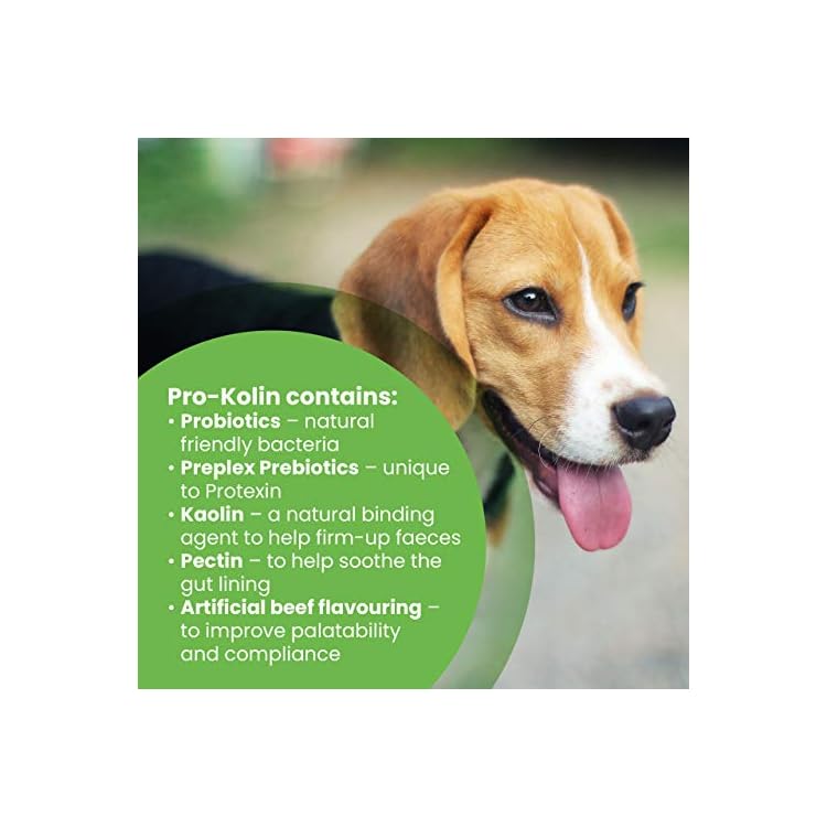 Protexin pet health ProKolin for Dogs and Cats Probiotic Paste and Syringe, 60ml The Pooch Club