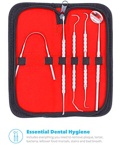 Equinox International Dental Hygiene Kit - Includes Tarter Scraper/Scaling Instrument, Dental Pick, Dental Sickle, and Mouth Mirror - Professional Surgical Grade Dentist Approved Tools