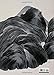 Modern Ink: The Art of Qi Baishi