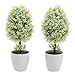 MyGift Set of 2 Small Artificial Topiary Trees, Faux Tabletop Greenery in White Planter Pots