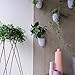 PlantPod Luxe Self-Watering Wall Planters (Set of 3) - Easy to Water and Install - Lightweight - Design Your Own Vertical Garden - Wall Planters for Indoor Plants