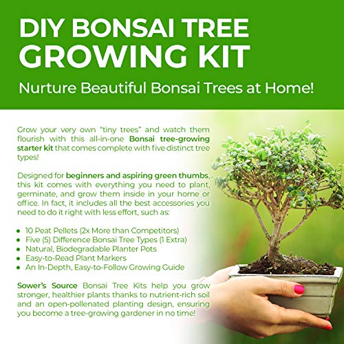 3 Complete+Starter+Beginner+Miniature+Biodegradable