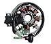 shamofeng Magneto Stator for Polaris ATV Scrambler 90 2001-2003 Sportsman 90 2001-2006 Predator 90 2003-2006 Replaces Polaris 0450523, 0451000