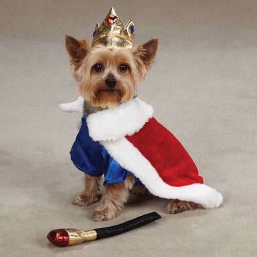 Zack & Zoey Royal Pup Pet Costume - Red