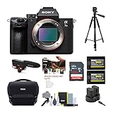 Sony Alpha a7 III Mirrorless Digital Camera