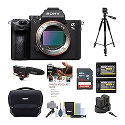 Sony Alpha a7 III Mirrorless Digital Camera