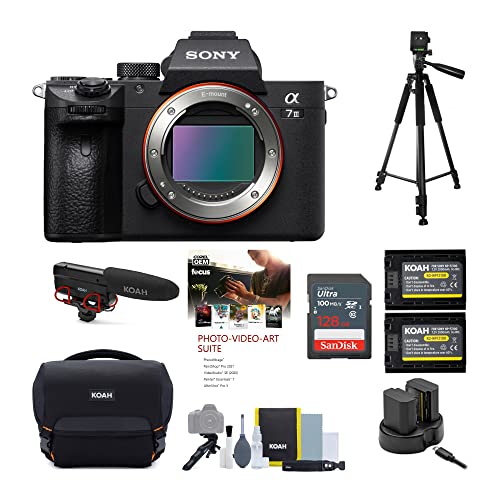 Sony Alpha a7 III Mirrorless Digital Camera