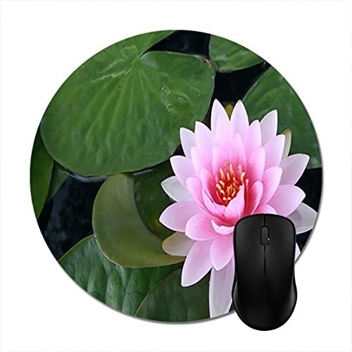 Starings Round Mousepads Waterlily Water Lily Lotus Flower Pink Leaves Water Mouse Mat