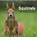 The Royal Squirrels of Hannover 2016: Red Squirrels in the Royal Gardens of Herrenhausen (Hannover) by 